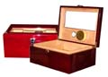 25 50 cigar glass top humidor