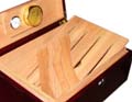 25 50 cigar glass top humidor